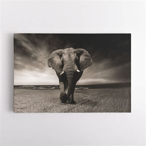 Elephant Wall Art