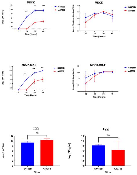 Viruses Free Full Text Insights Into Genetic Characteristics And