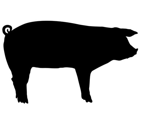 Outline Of A Pig | Free download on ClipArtMag