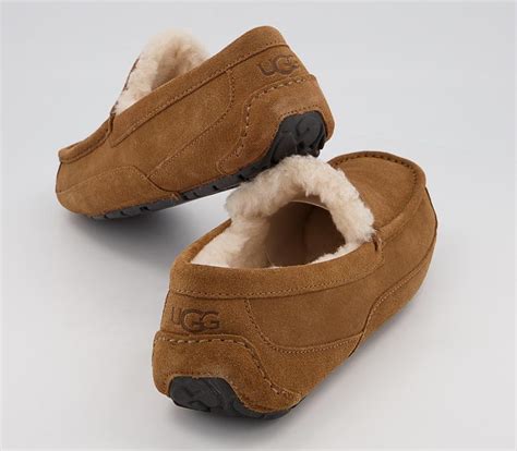 Ugg Ascot Slippers Chestnut