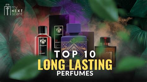 Top 10 Long Lasting Perfumes For Men Youtube