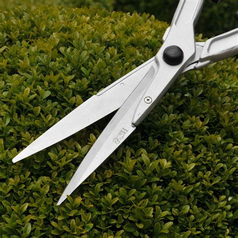 Topiary Hedge Shears Topiary At Harrod Horticultural