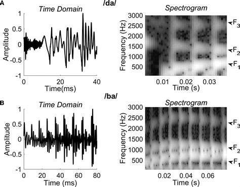 Characterizing Electrophysiological Response Properties Of T Ear