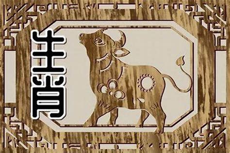 67年属羊男与73年属牛女配不 73年属牛49岁男婚姻状况如何样 生肖 若朴堂文化