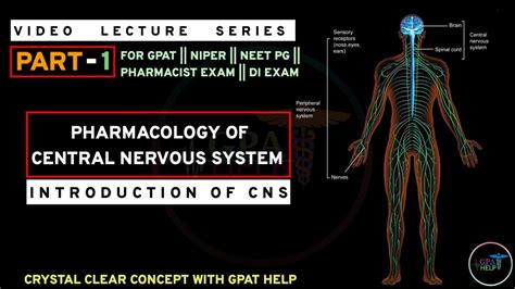 PHARMACOLOGY OF CENTRAL NERVOUS SYSTEM CNS PHARMACOLOGY PART 1