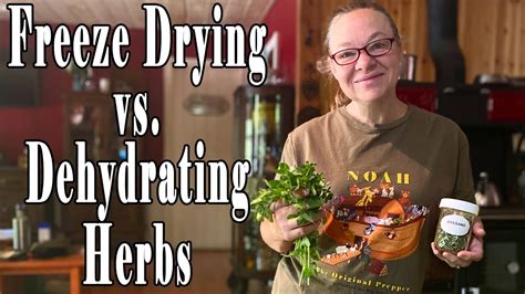 Freeze Drying Vs Dehydrating Herbs Youtube