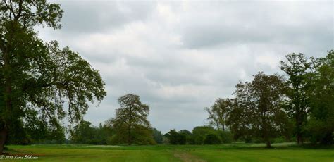 Treescape Treescape On The Mapledurham Estate Karen Blakeman Flickr