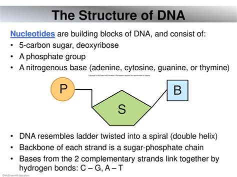 Chapter 04 Lecture Outline Ppt Download