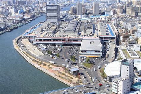 市場でせりが開始される時間はいつですか？ | 大阪市中央卸売市場
