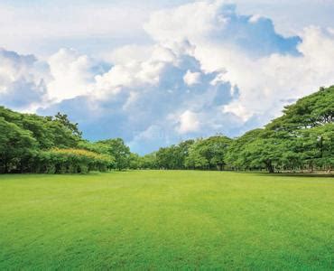 Buy Residential Plots For Sale In Dombivli East Thane Lands For Sale