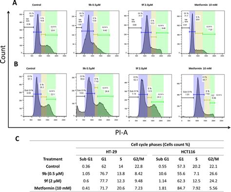 Cell Cycle Analysis Of HT 29 And HCT116 Treated With 9b 9f And