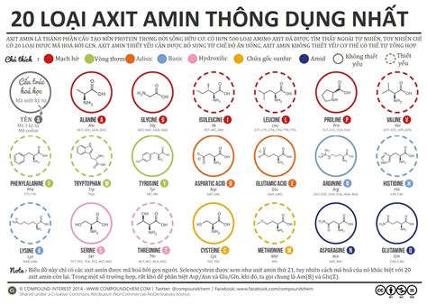 Hóa 9 Axit Axetic Tìm Hiểu Chi Tiết Và Ứng Dụng Thực Tiễn