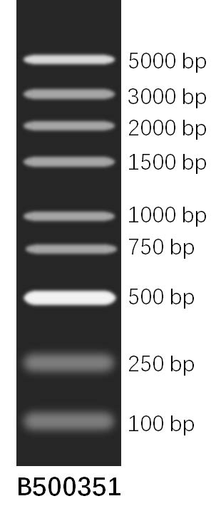 DNA 分子量标准Marker 100 5000 bp DNA Marker 100 5000 bp 生命科学产品与技术服务 生工