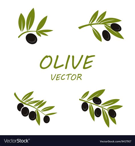 Olive Icons Set Royalty Free Vector Image Vectorstock