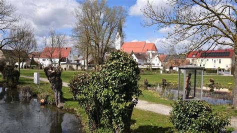 Landkreis Dillingen Kopfweiden im Kreis Dillingen schützen