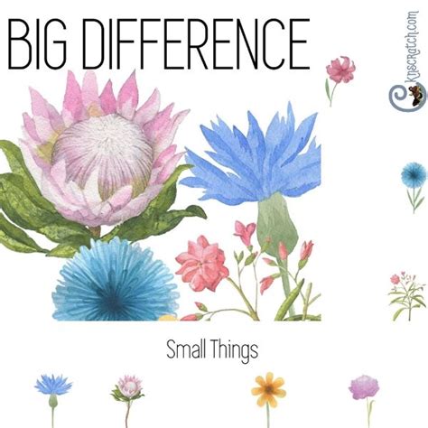 An Image Of Flowers With The Words Big Differences In Them And Small