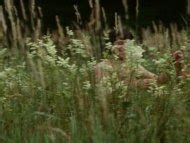 Beichte Einer Liebestollen Nude Pics Page