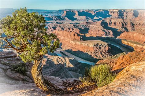 Dead Horse Point Overlook Photograph by Daniel Ryan - Fine Art America