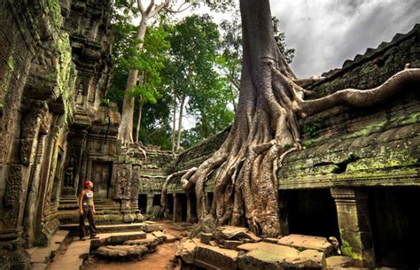 Ta Prohm Temple - The Angkor Guide