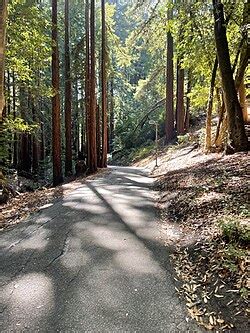 University Of California Santa Cruz Wikipedia