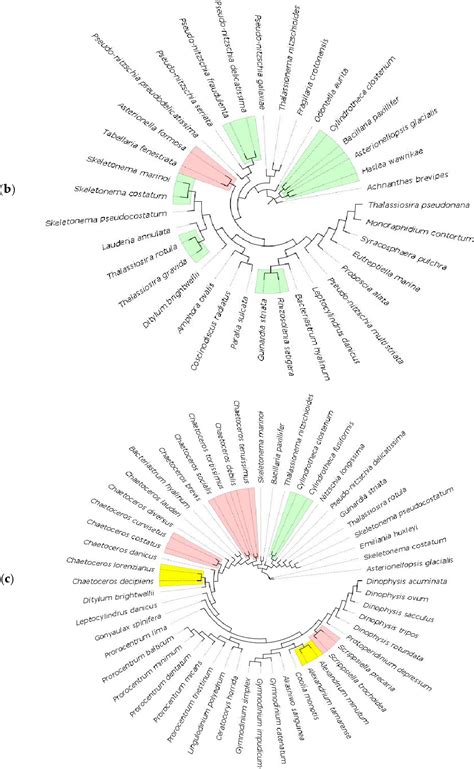 Figure 3 From DNA Barcode Gap Analysis For Multiple Marker Genes For