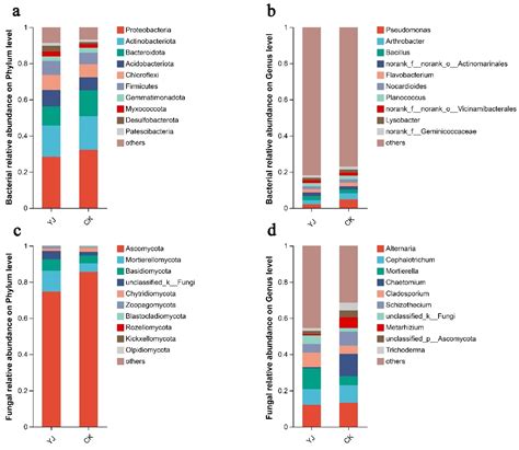 Bacillus Subtilis Strain Yj 15 Isolated From The Rhizosphere Of Wheat