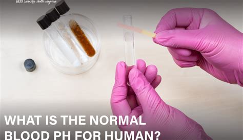 What is the normal blood pH for humans? - healthfuldaytoday