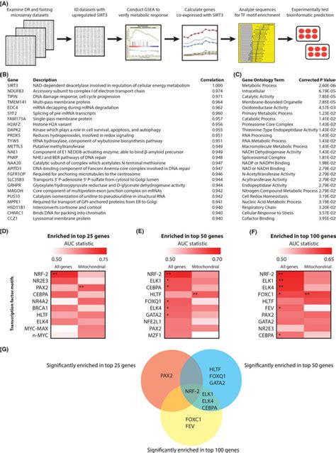 Bioinformatic Identification Of Nrf Binding Site Enrichment In Dna