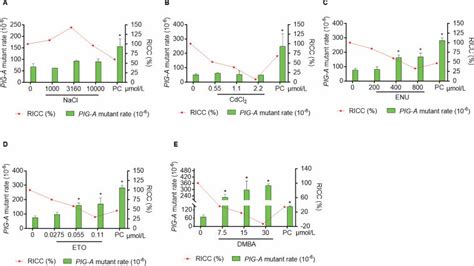 Chemicals With Or Without Metabolic Activation System In Vitro Pig A