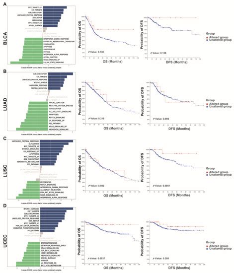 Cancers Free Full Text Pan Cancer Landscape Of Neil3 In Tumor Microenvironment A Promising