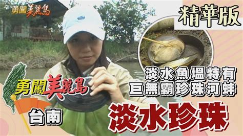 【勇闖美麗島】淡水魚塭 巨無霸珍珠貝│20020122│ 81集精華版 Youtube