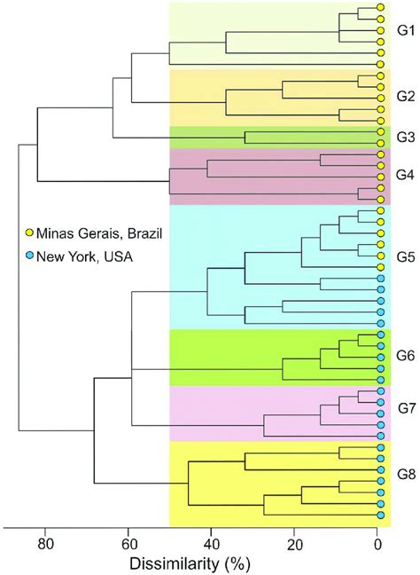 Hierarchical Cluster Analysis According To Complete Linkage Method From