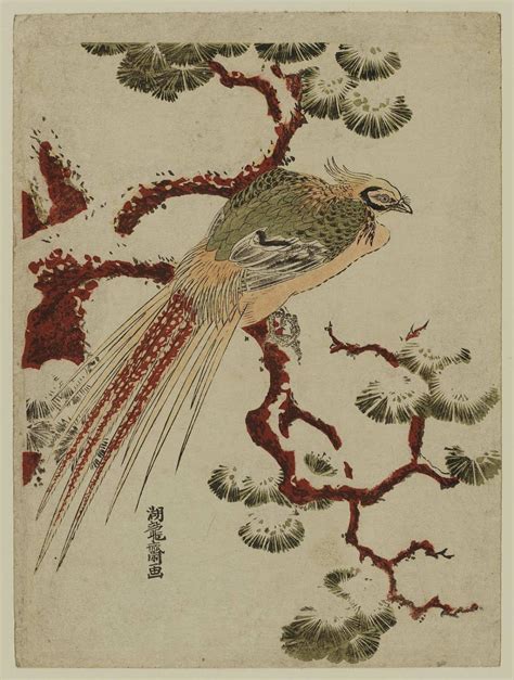 磯田湖龍齋 Golden Pheasant On Snowy Pine Branch ボストン美術館 浮世絵検索