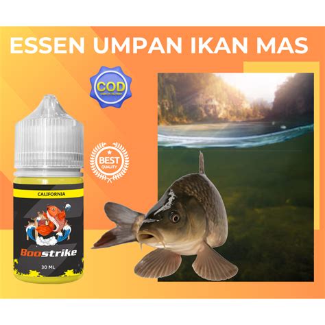 Jual Essen Oplosan Ikan Mas Premium Essen Umpan Ikan Mas Untuk Lomba