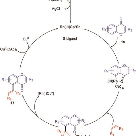 Proposed Mechanism For Rhodium Iii Catalyzed C Olefination Of