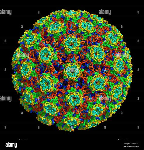 Estructura 3d Del Virus Del Papiloma Humano Tipo 16 Asociado Con