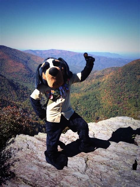 @UTsmokey_00 give him a follow on twitter | Smokies, Vol nation, Landmarks