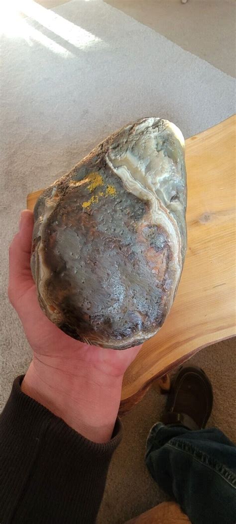 Lake Superior Agate Pounds Ounce Ebay