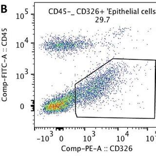 Example of gating strategies for CD11b+, F4/80+ macrophage cells (a a ...