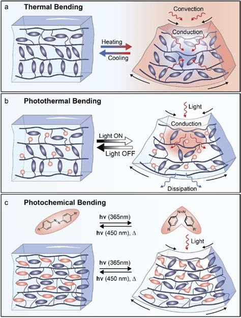 Nonhygroscopic Lcn Actuation Mechanisms A Thermally Induced Bending