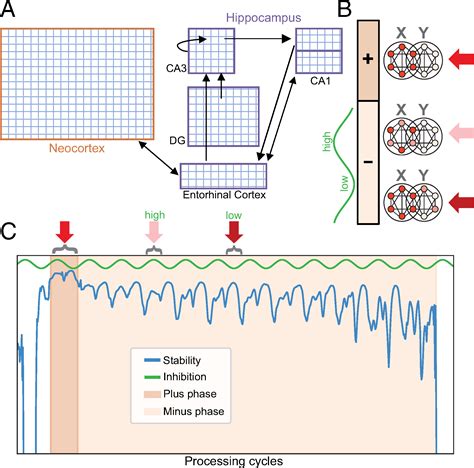 A Model Of Autonomous Interactions Between Hippocampus And Neocortex