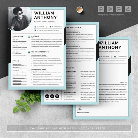 Modern Resume Template 16 - Design Cuts