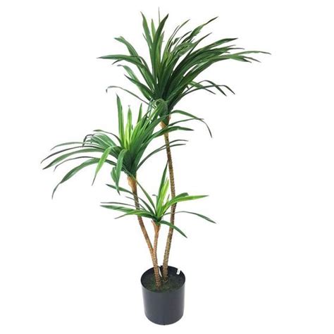 Planta Dracena Real Toque Verde Galhos Vaso Pl Stico Grillo