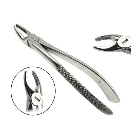 Gdc Extraction Forceps Upper Premolar 7 Standard Fx7s Dentalkart