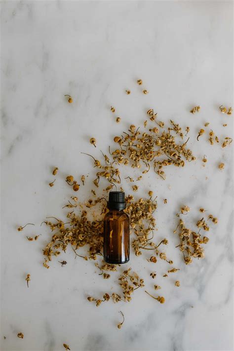 Which Oils To Use For Aromatherapy - Aromatherapy Naturals