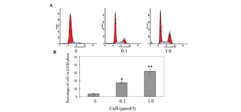 Flow Cytometric Cell Cycle Analysis A A549 Cells Were Treated With Download Scientific