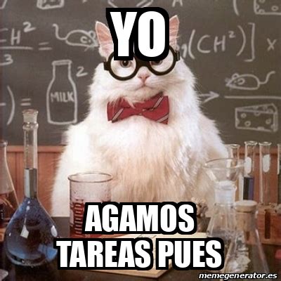 Meme Chemistry Cat Yo Agamos Tareas Pues