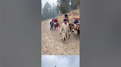 Adventurous Pony Ride To Baisaran Valley Pahalgam Kashmir Mini