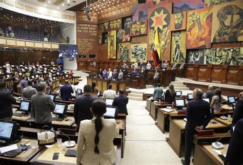 La Proforma Entrar En Vigencia Sin Las Observaciones De La Asamblea