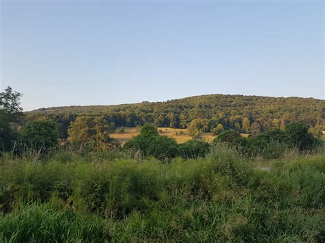 Bath (Beckford Road Tunnel) to Dundas Aqueduct - A Family Adventure